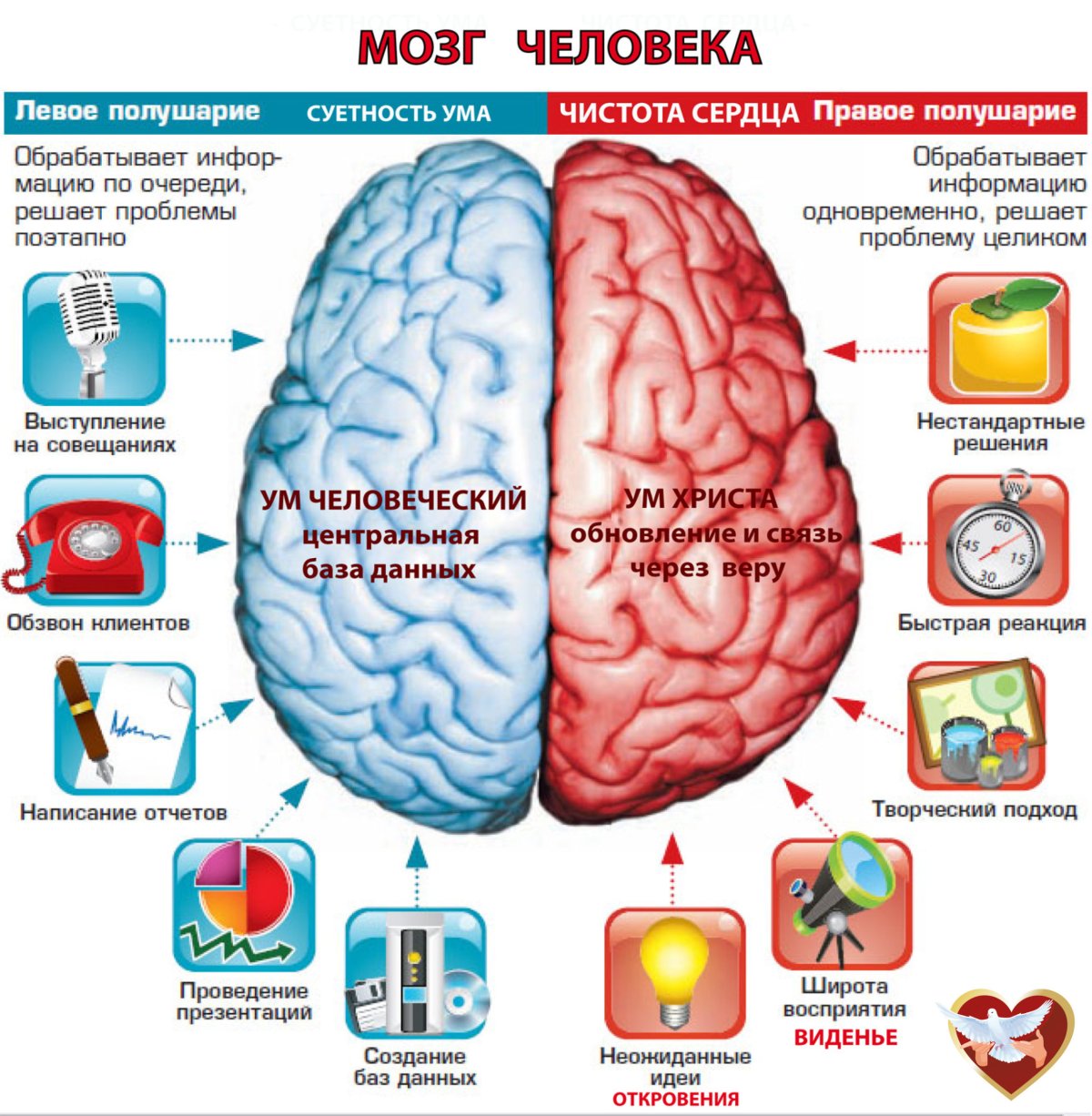 Полушария земли