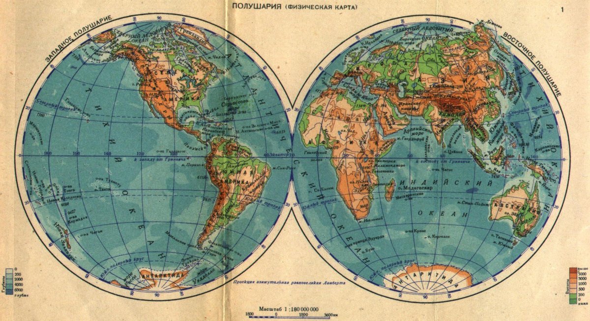 Латерализация полушарий мозга