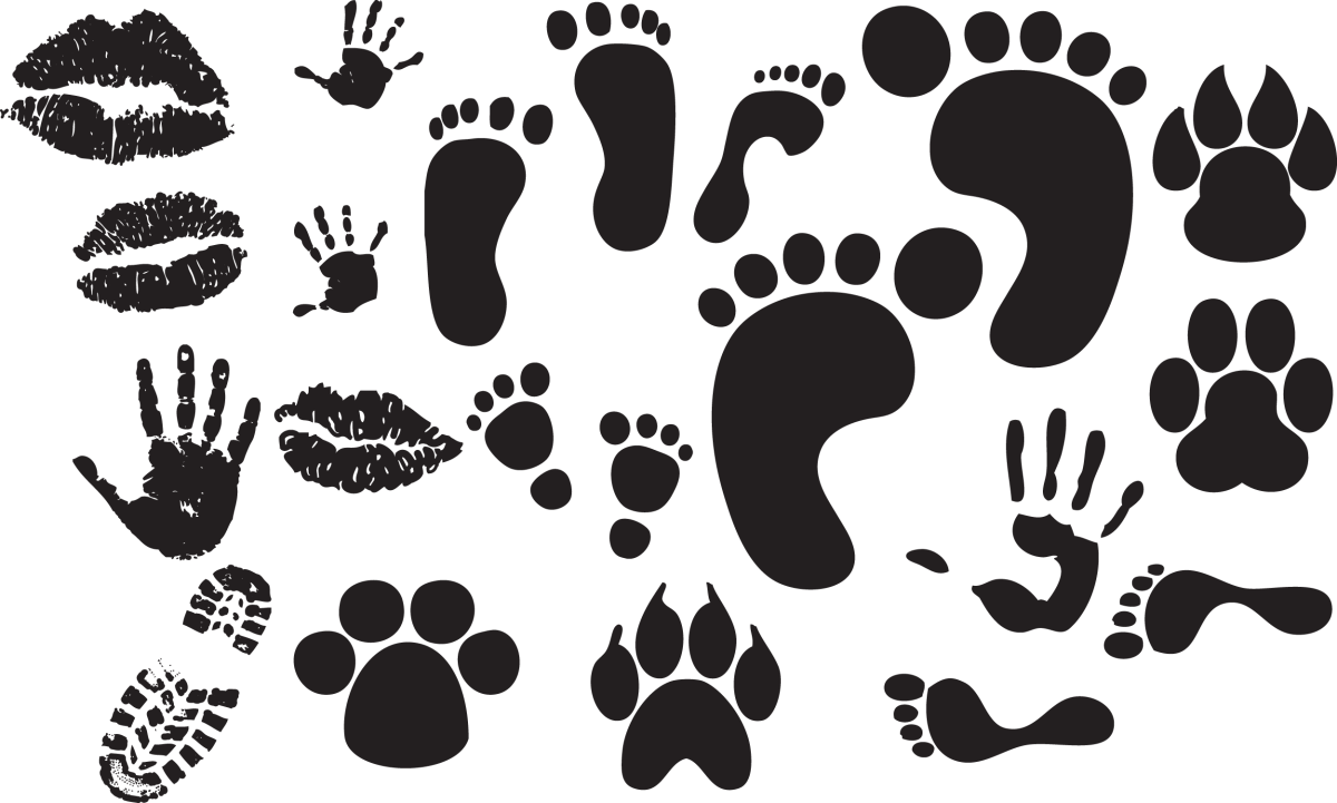 Человеческие следы