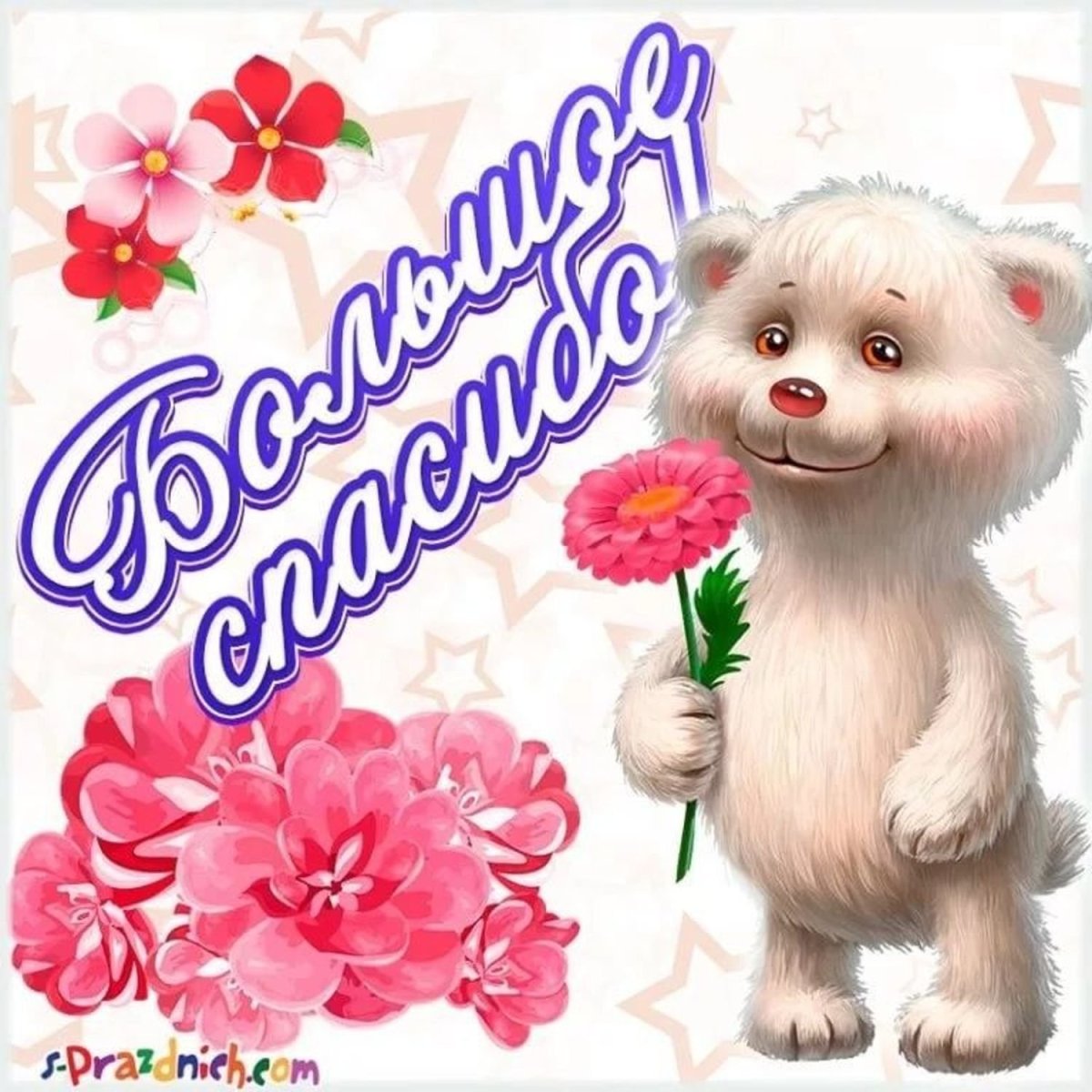 Спасибо Кум