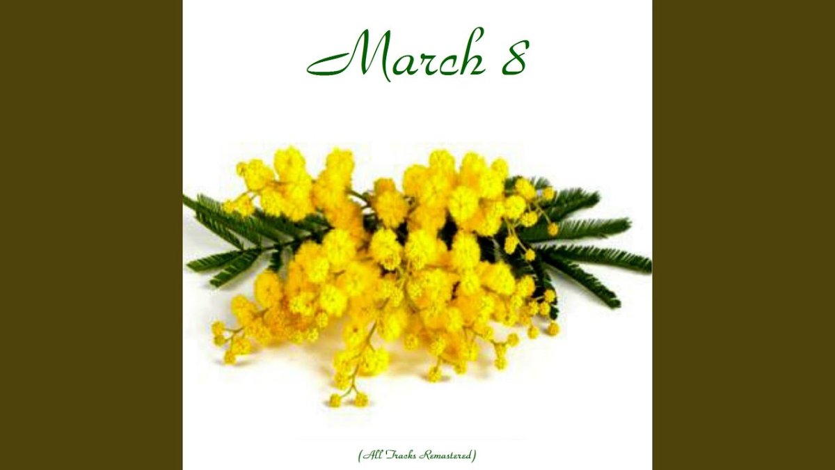 Срезка Сильвер Мимоза