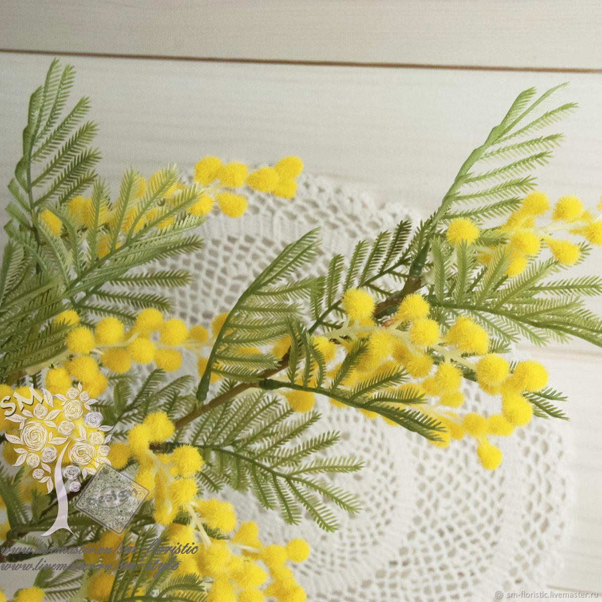 Веточка мимозы на прозрачном фоне