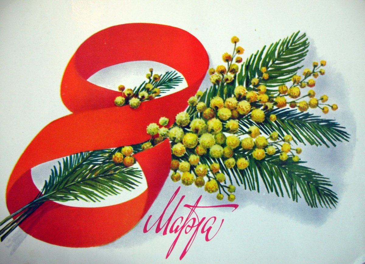 Мимоза на веточке Графика для открытки