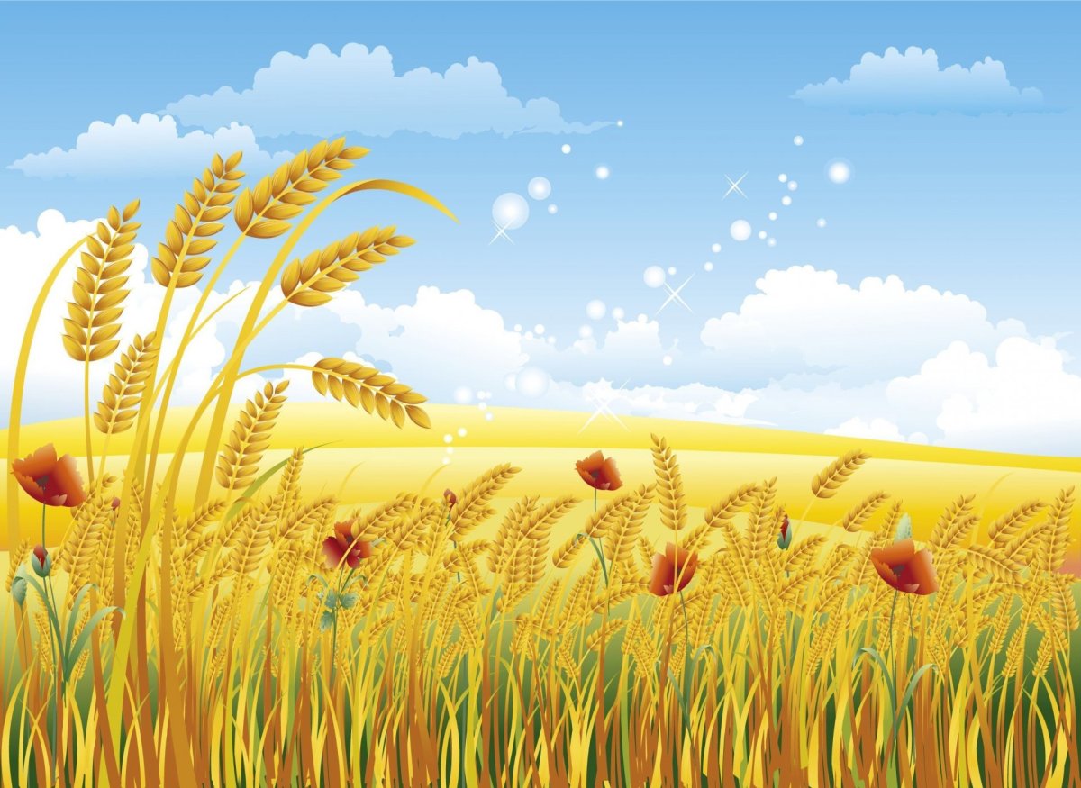 Дети в поле с колосьями