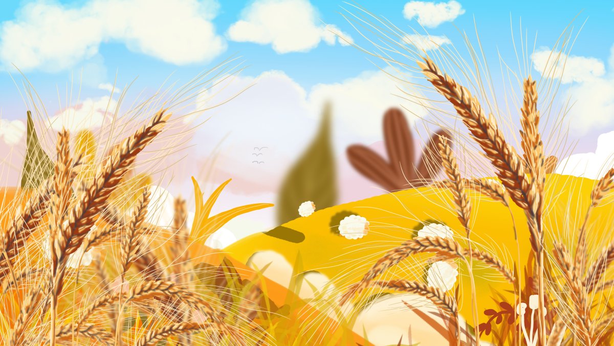 Поле пшеницы рисунок