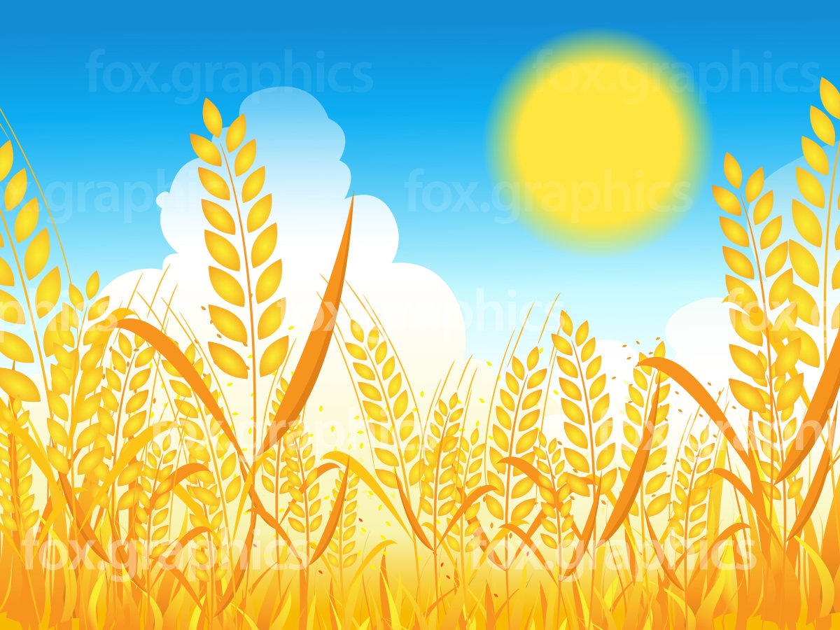 Поле рисунок