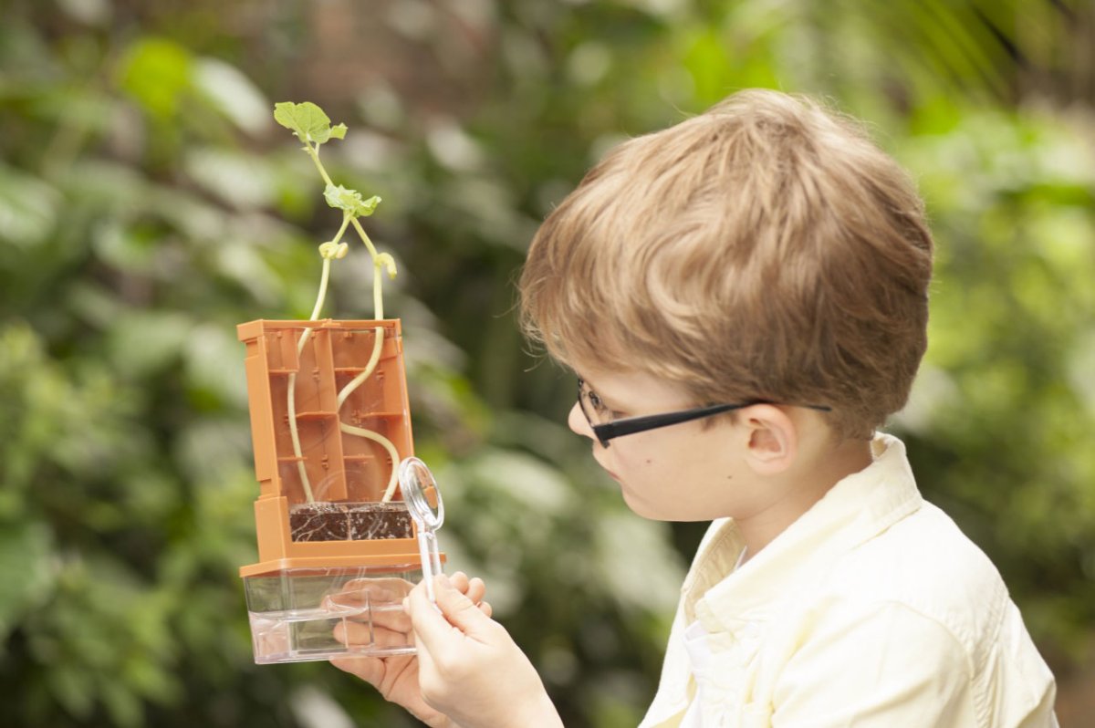 Дети наблюдают