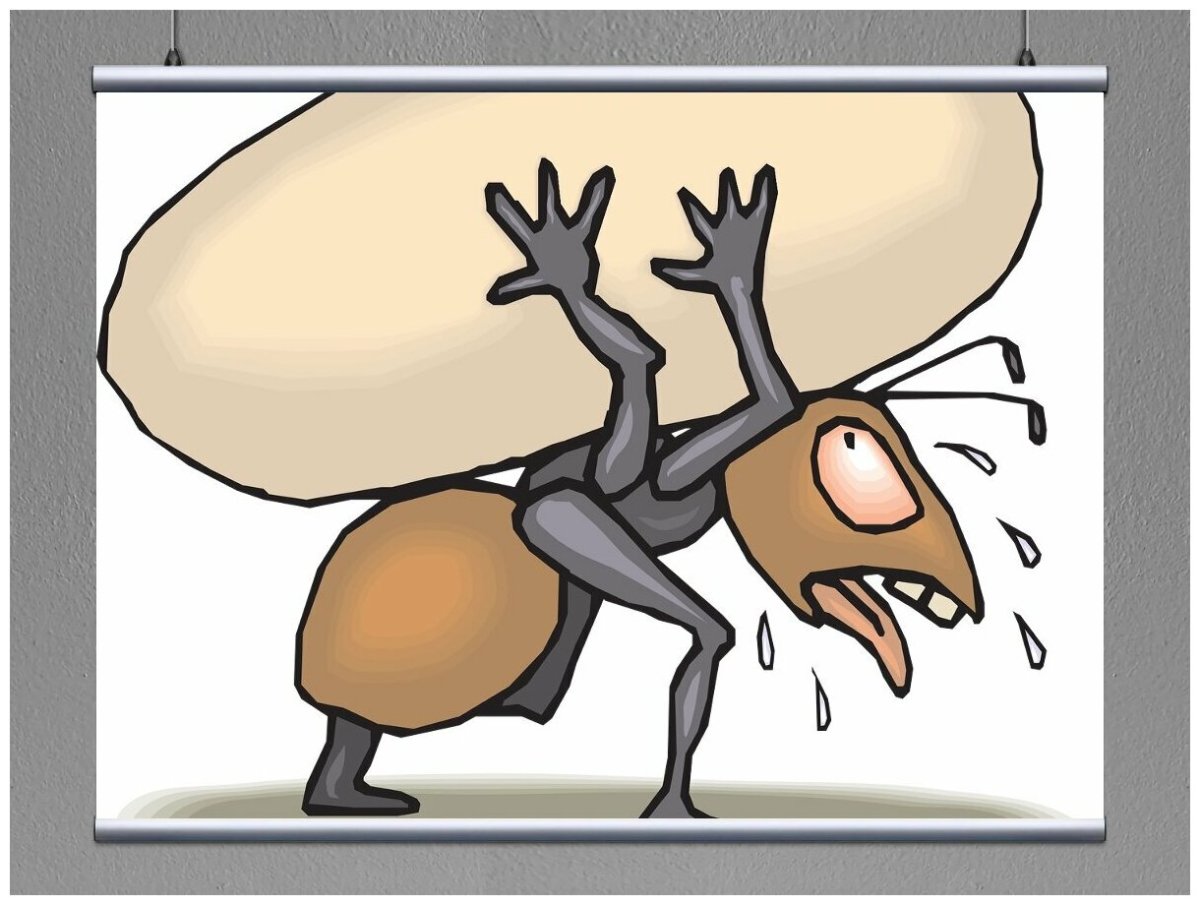 Яйцо муравья