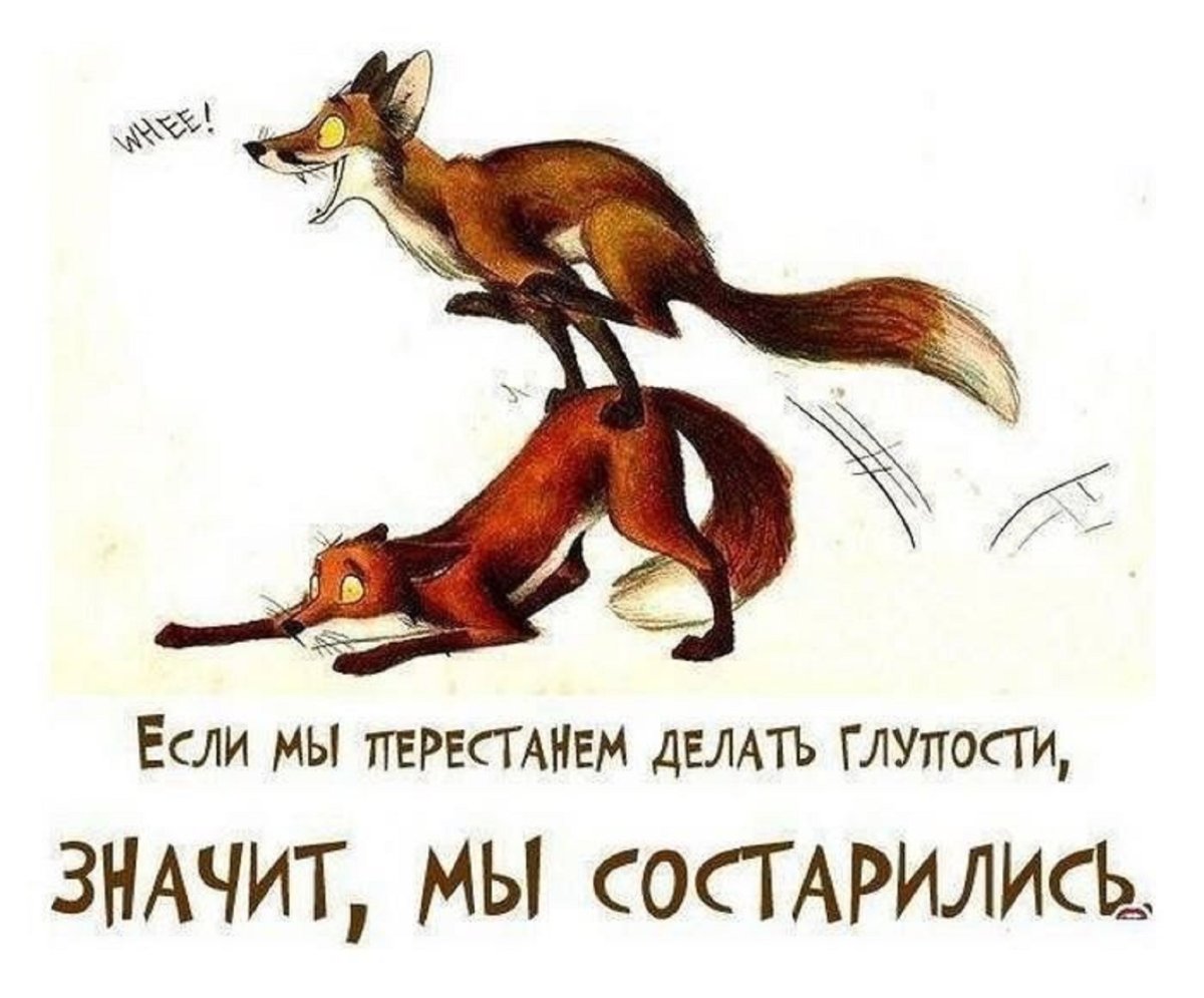 Цитата дня смешная