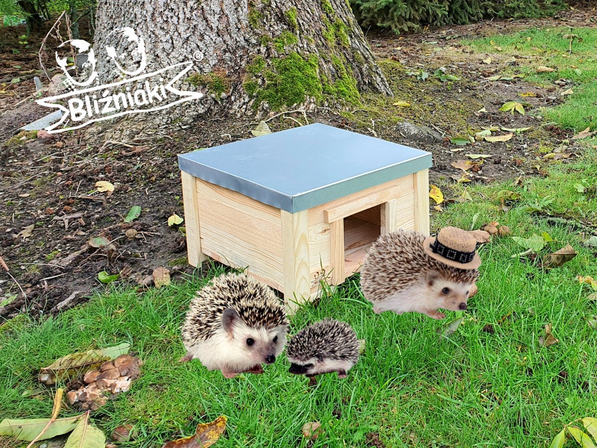 Дом для ежа