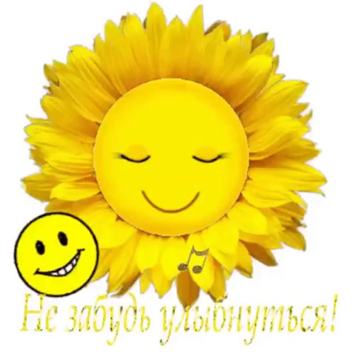 Хорошего дня солнышко