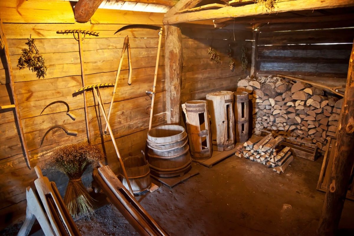 Сени в деревенском доме