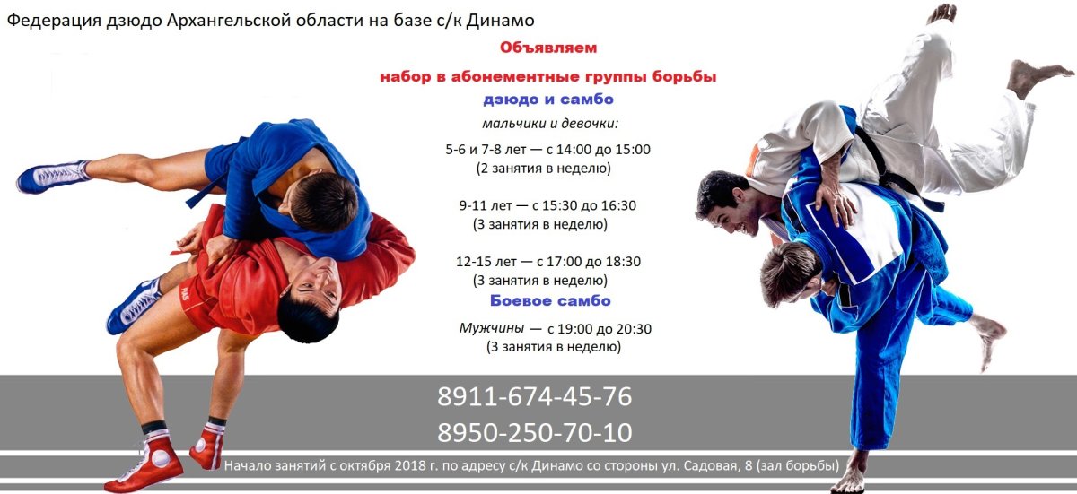 Боевое самбо логотип