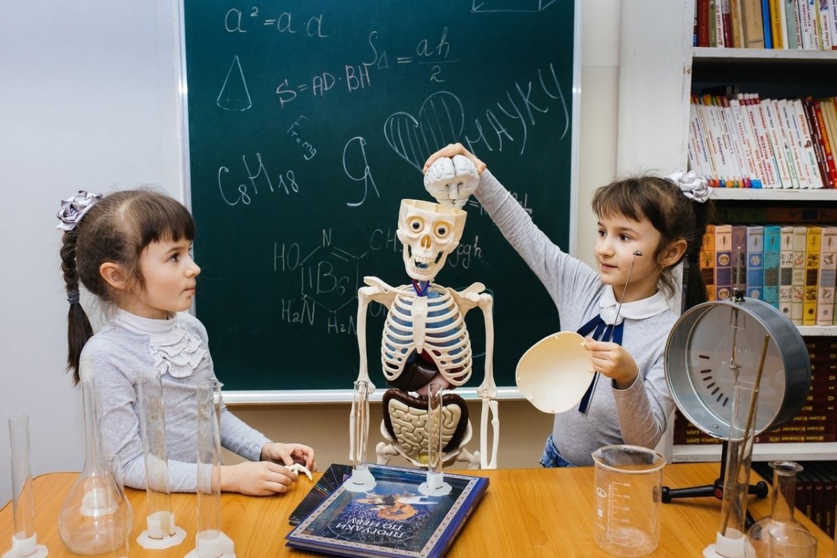 Неделя науки в школе