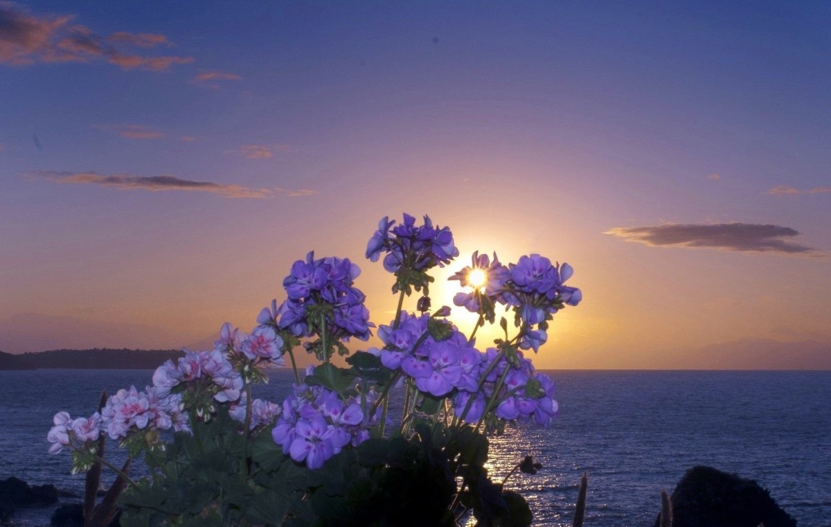 Спокойной ночи Лисичка