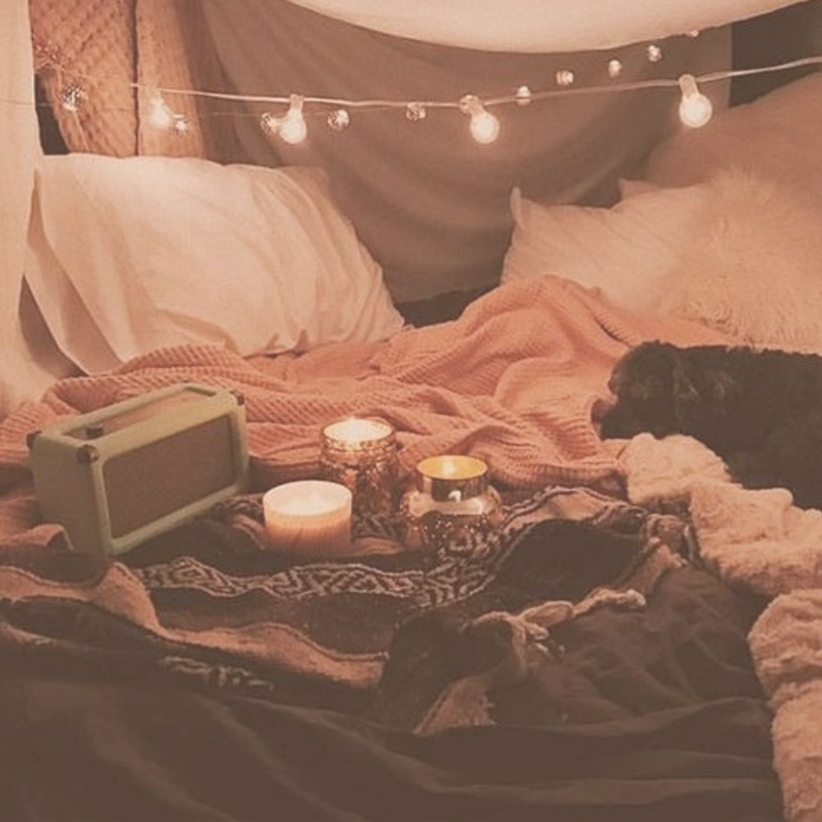 Прекрасная ночь