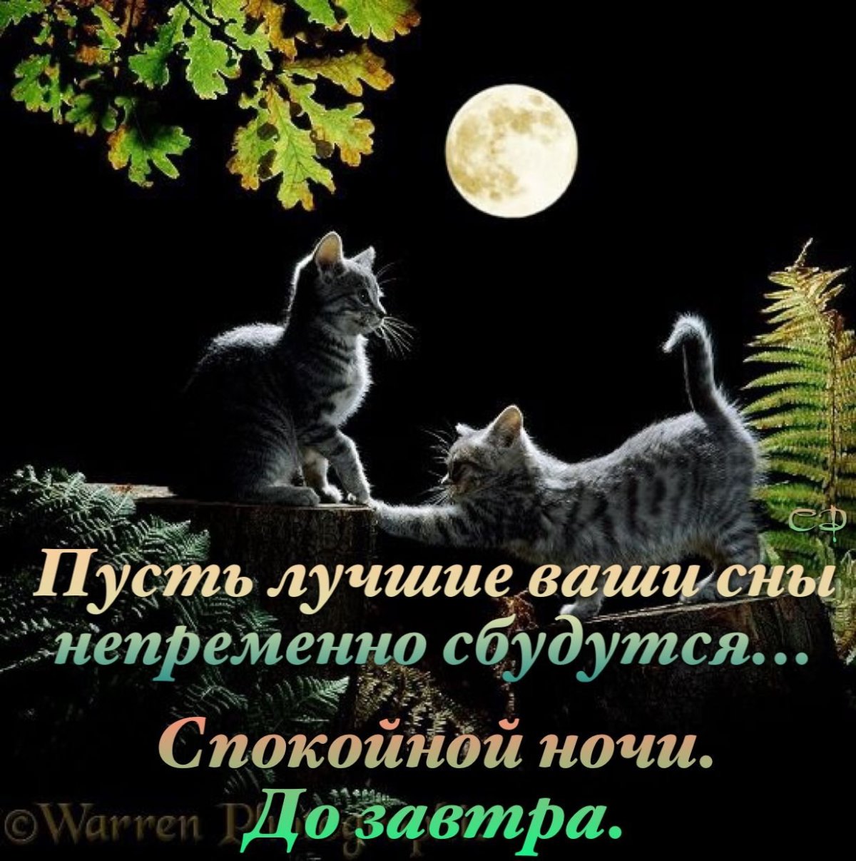 Полумесяц арт