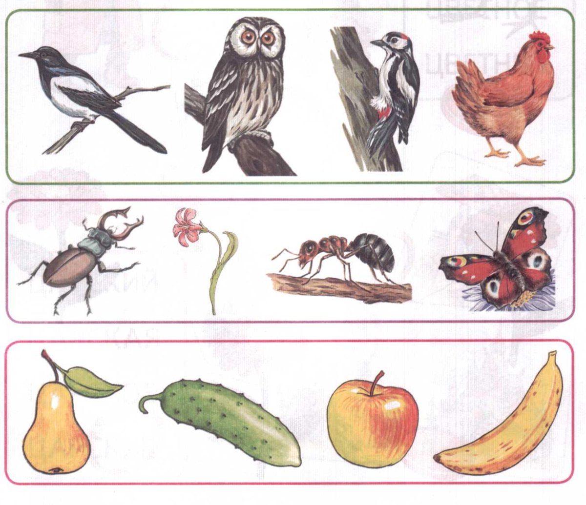 Задания для детей четвертый лишний