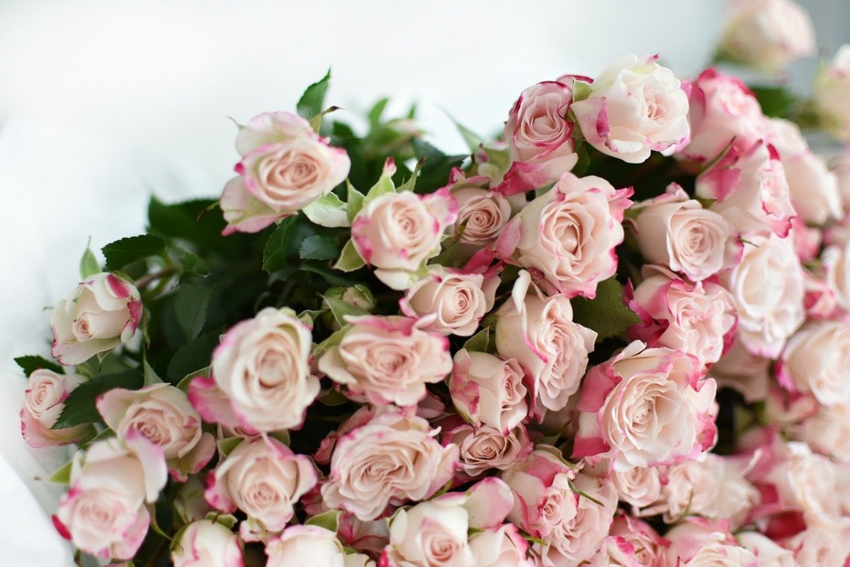 Букет чайных роз