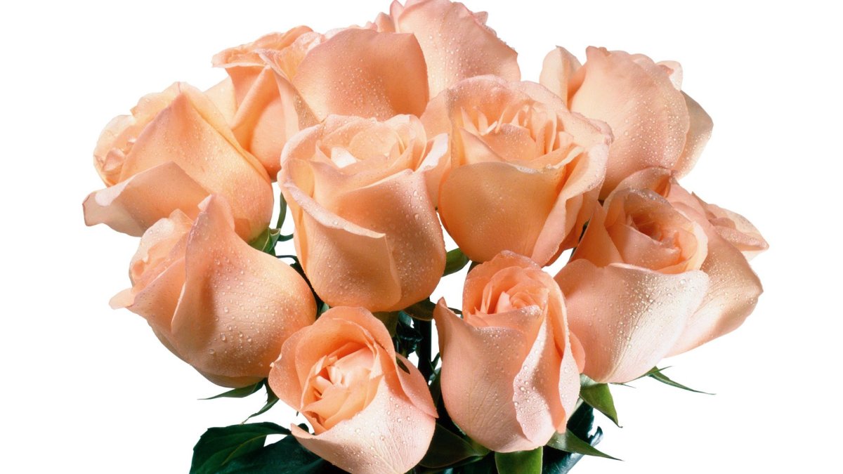 Роза Пич ваза