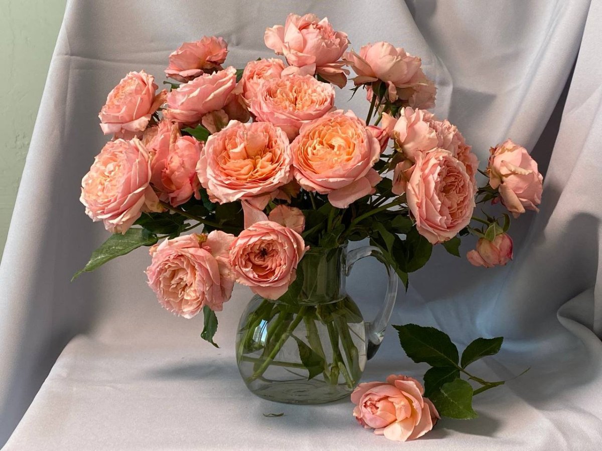 Роза Куинз дей