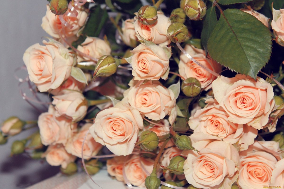 Букет чайных роз