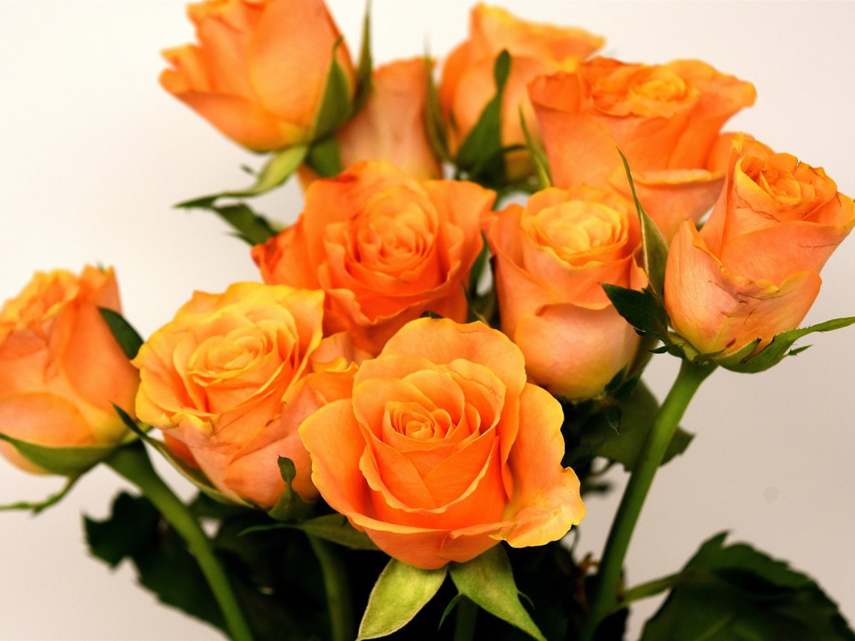 Букет чайных роз