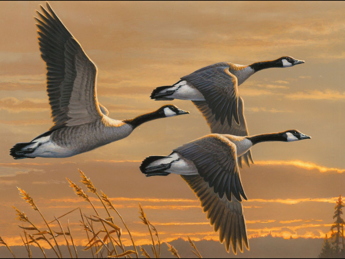 James Hautman картины