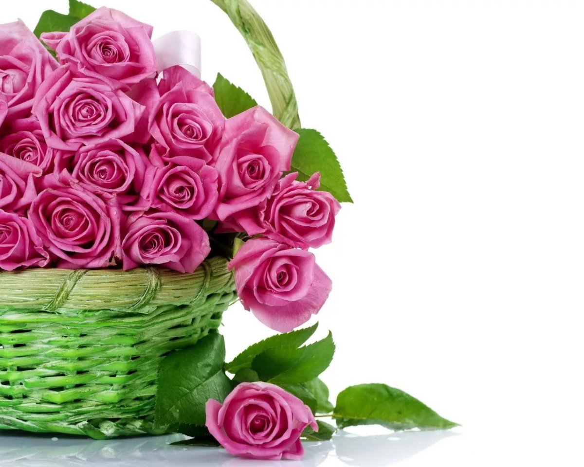 Наказ свекрови на свадьбе прикольные