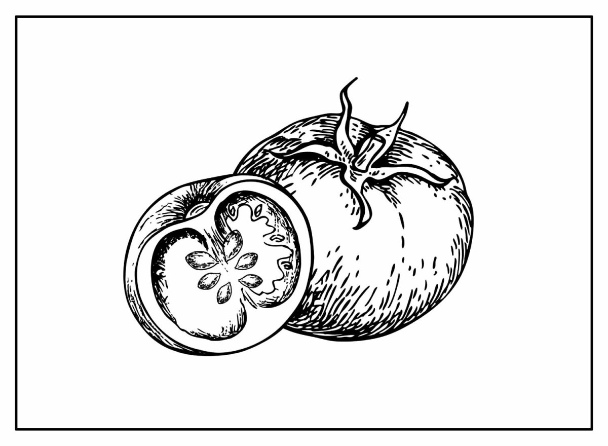 Помидор вектор чб