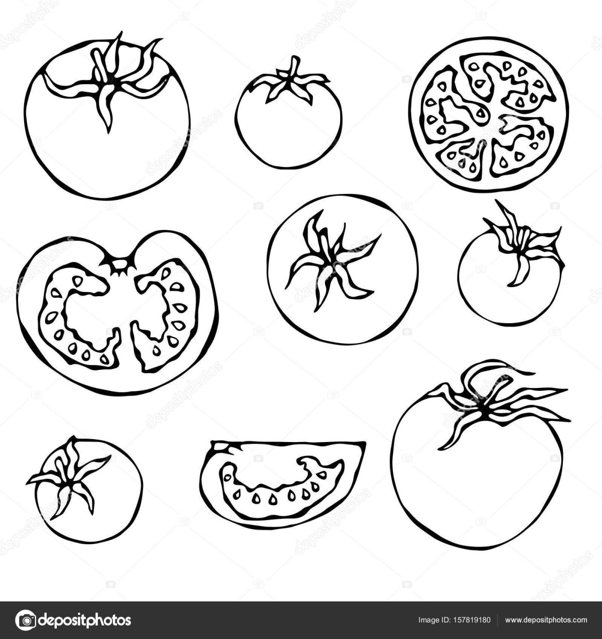 Помидор раскраска