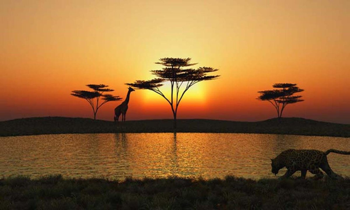 Африканская Саванна озера