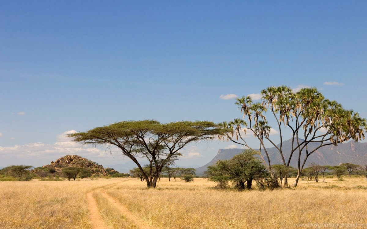 Национальный парк Шаба Кения