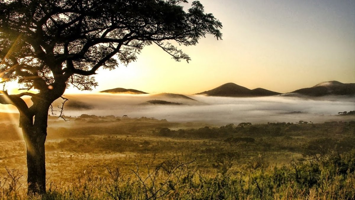 Саванны Австралии