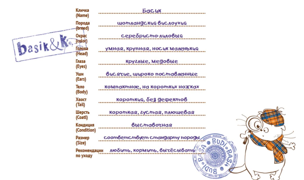 Паспорт кота Басика игрушка