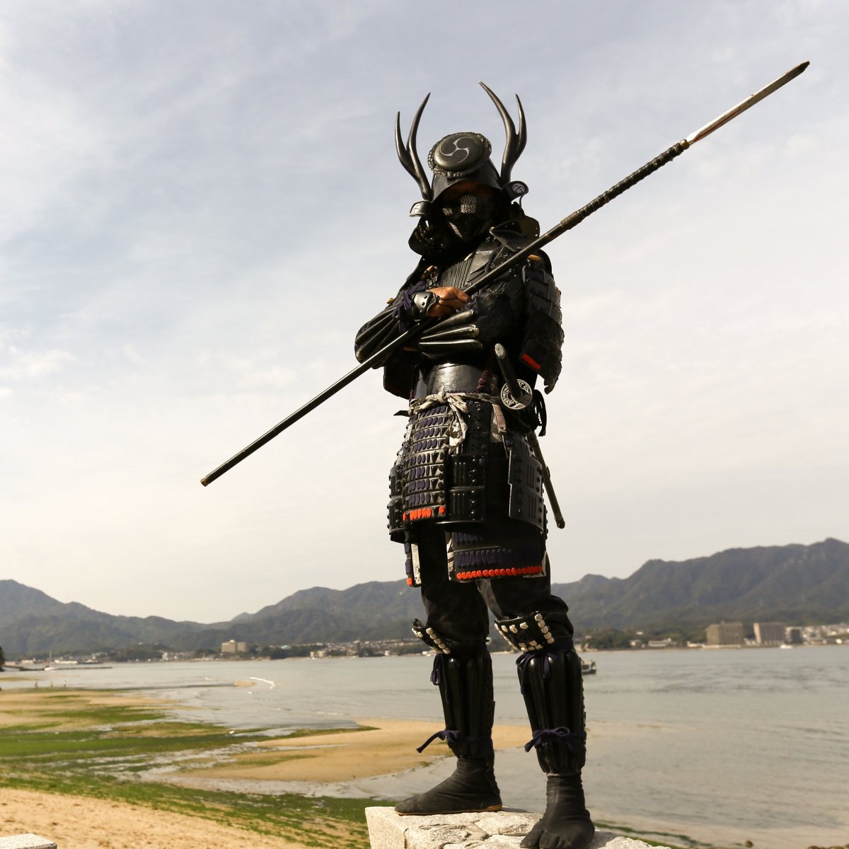Самурай вид сзади