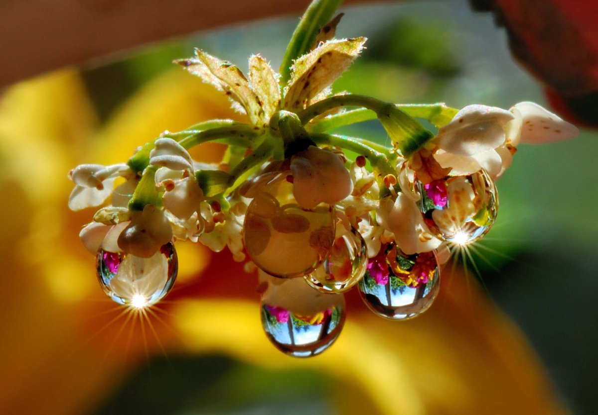 Красота вокруг