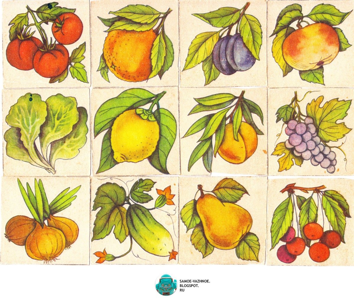 Овощи и фрукты для дошкольников