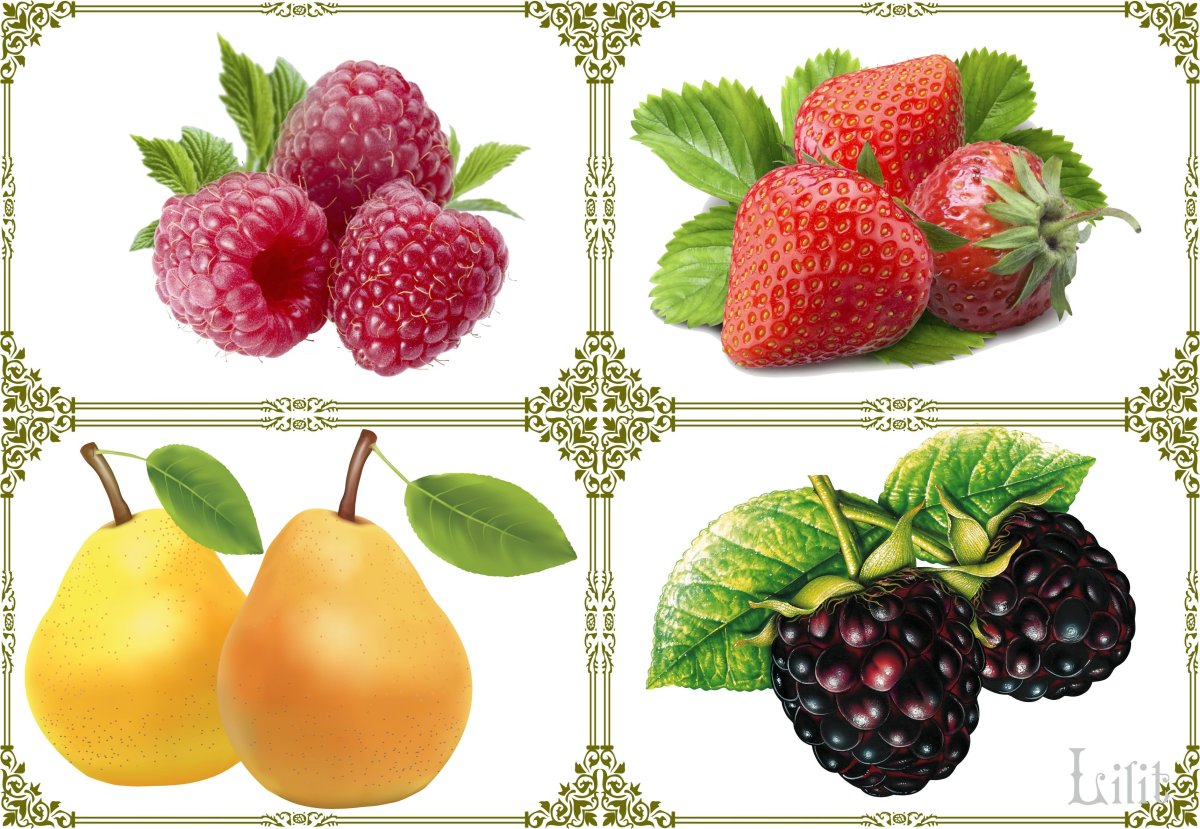 Лото «в мире растений»