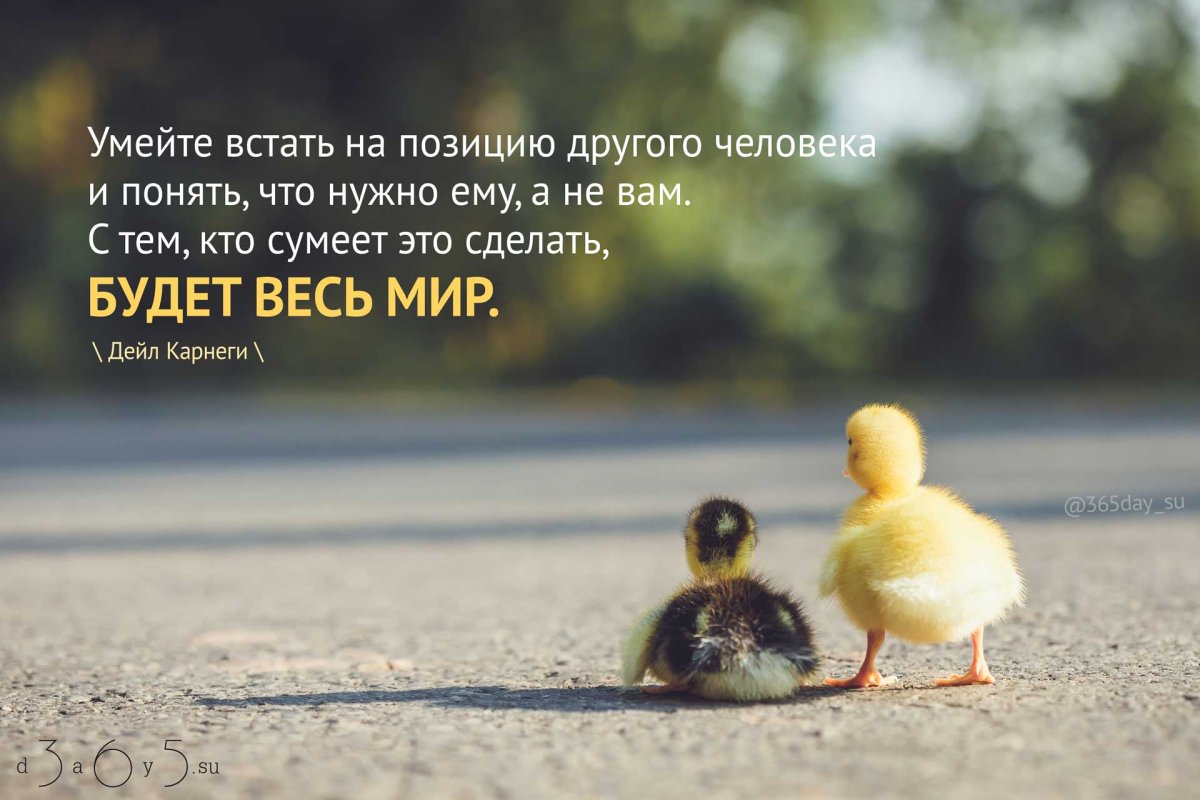 Позитивные Мотивирующие высказывания