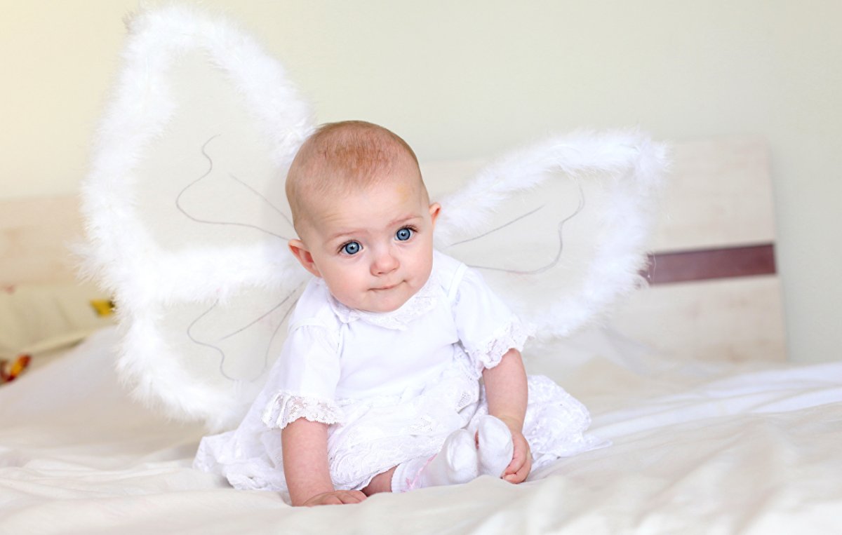 Ангелочки на прозрачном фоне