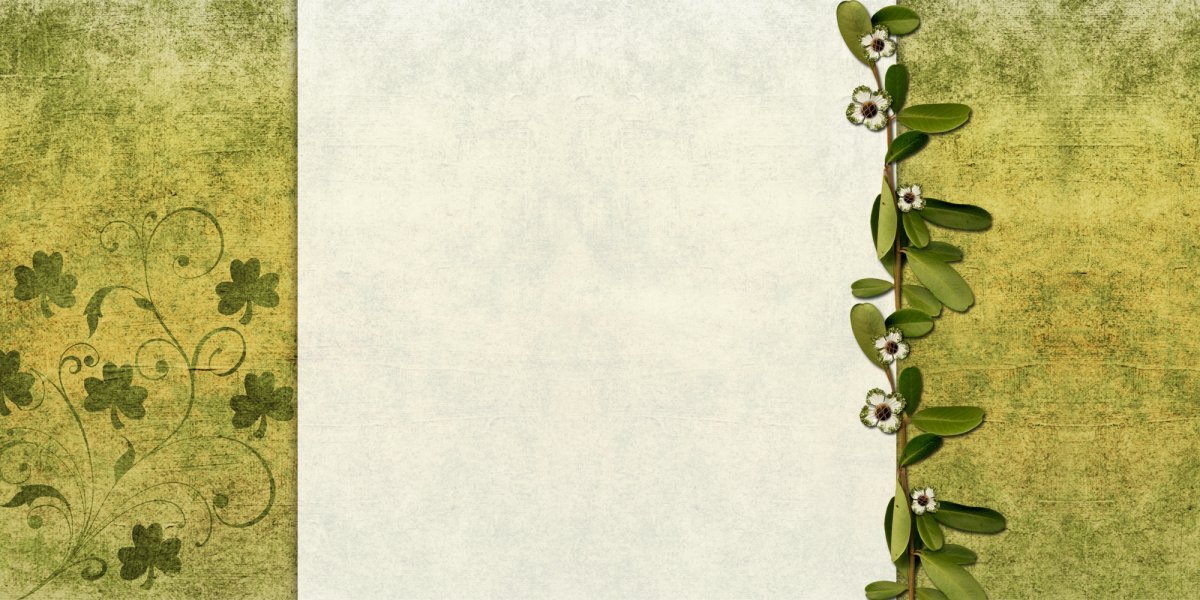 Салатовый фон для меню