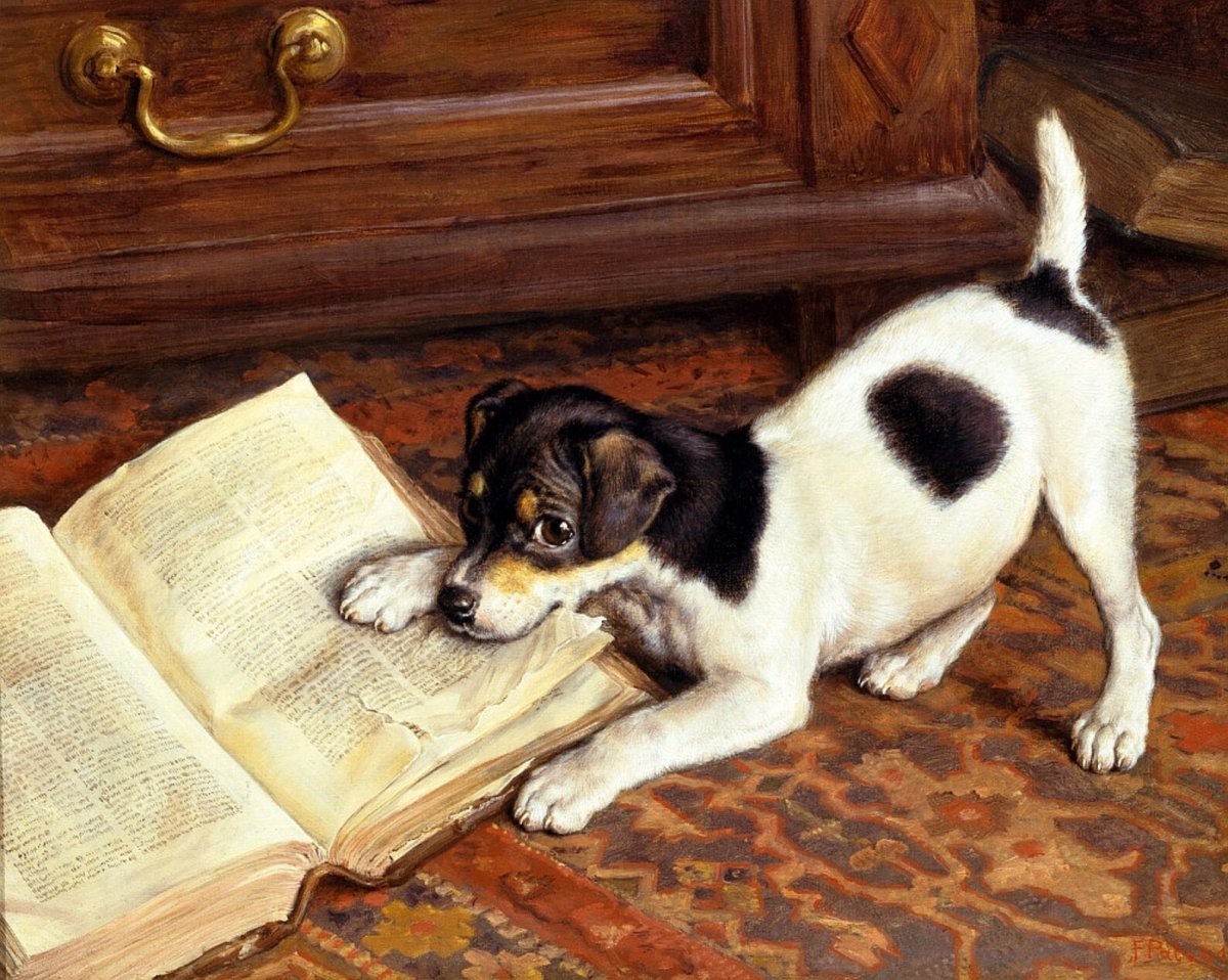 Животное с газетой