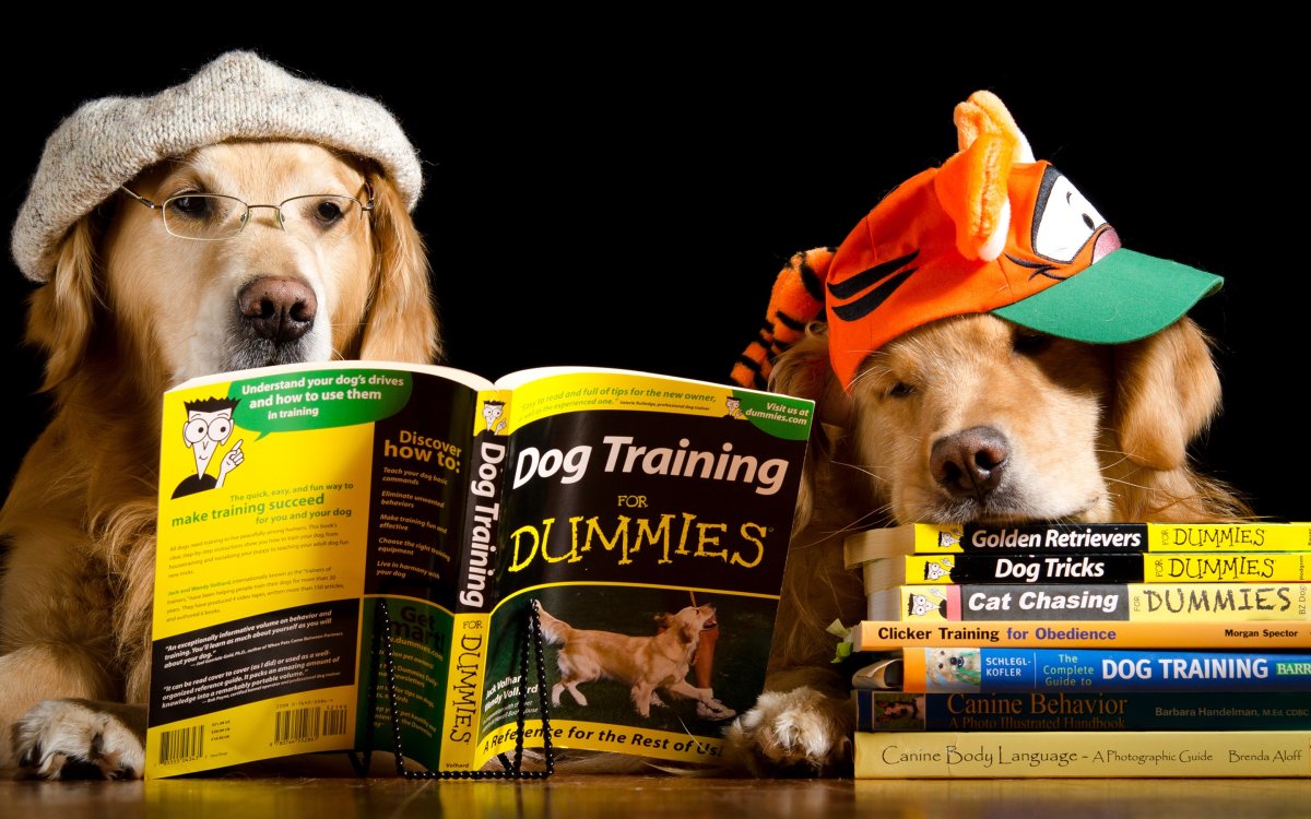 Книги про собак