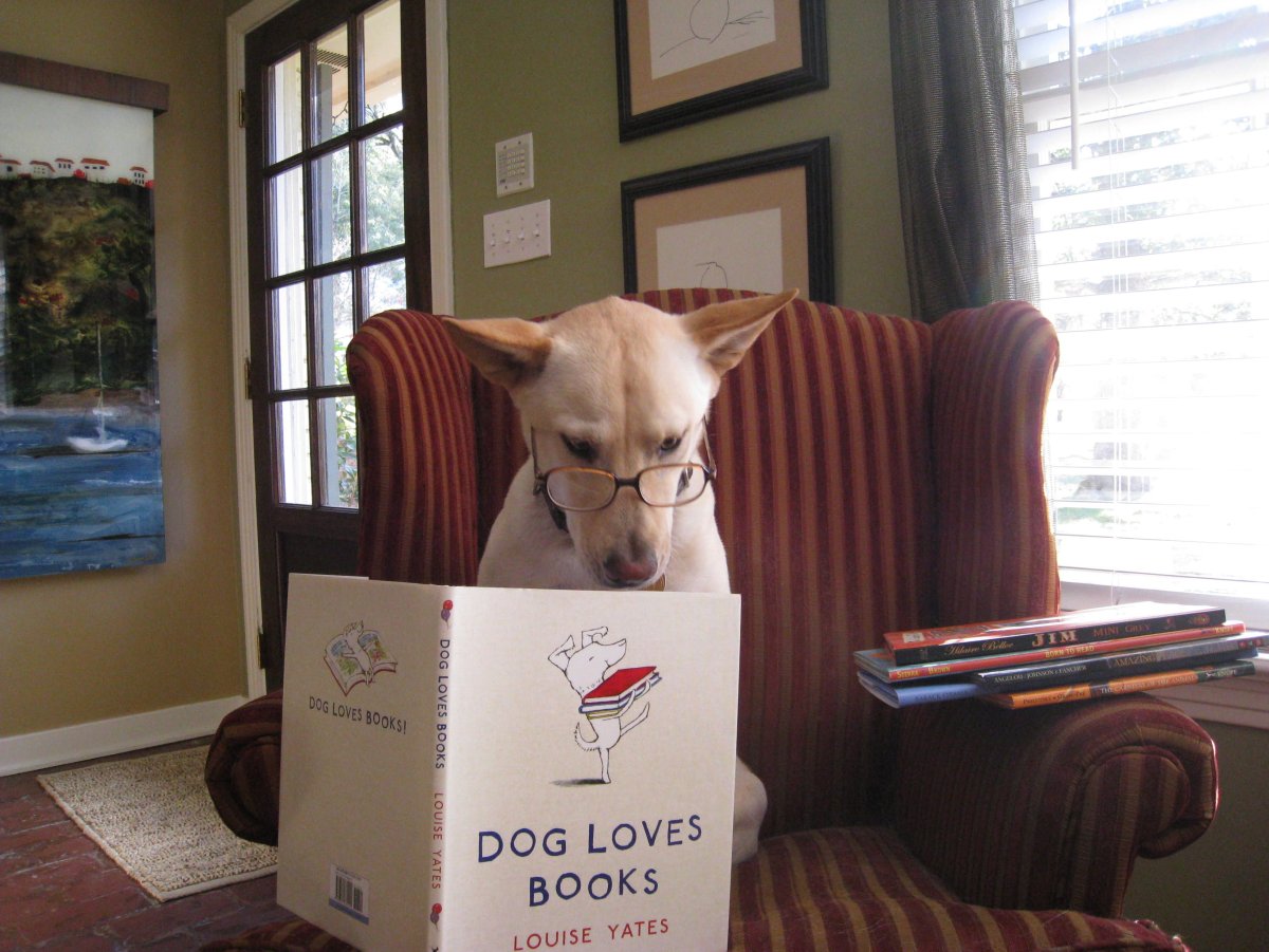 Мультяшные животные с книгой