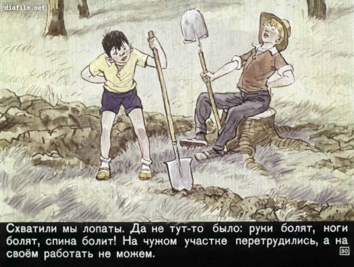 Рассказ огородники Носов