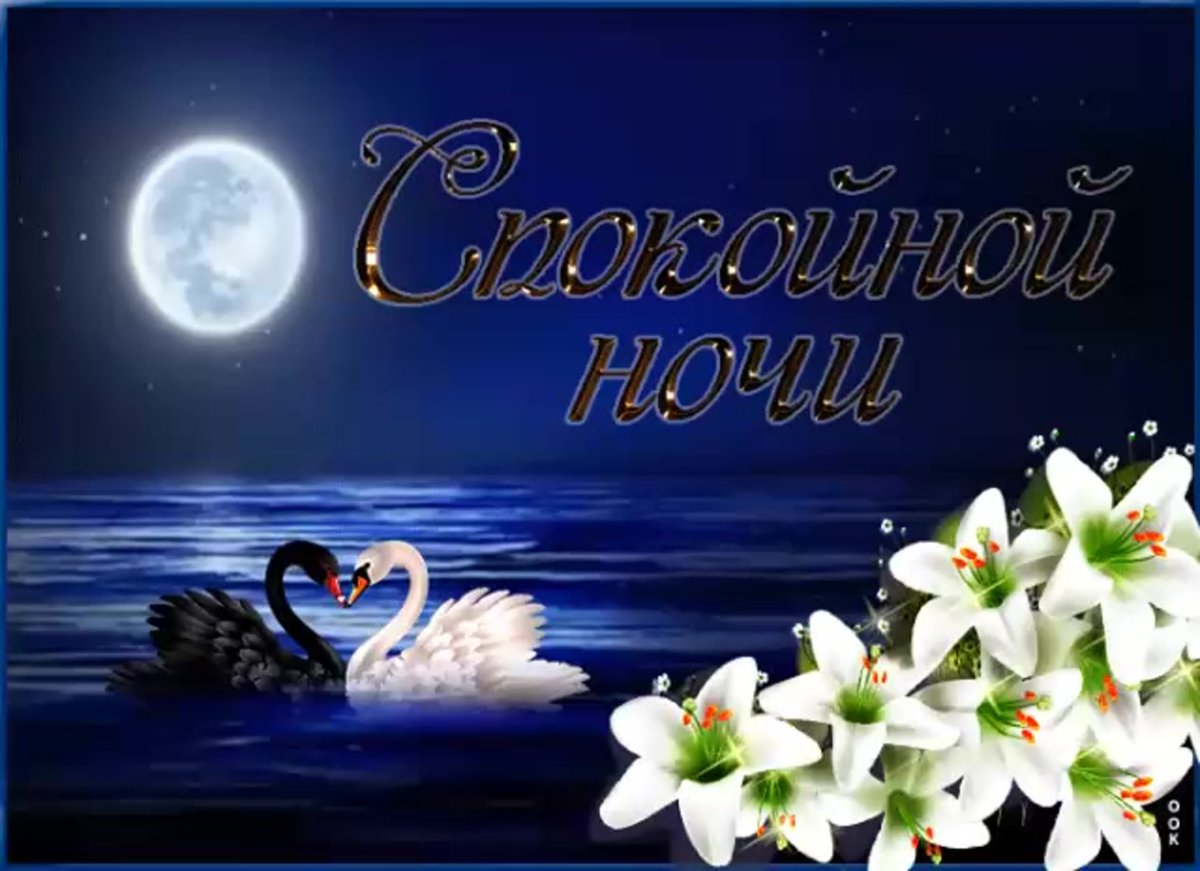 Спокойной ночи цветных снов