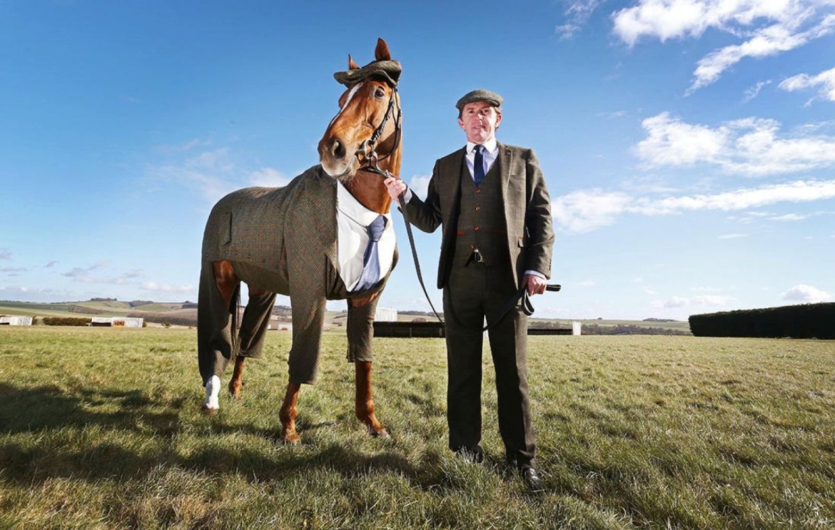 Костюм коня в пальто