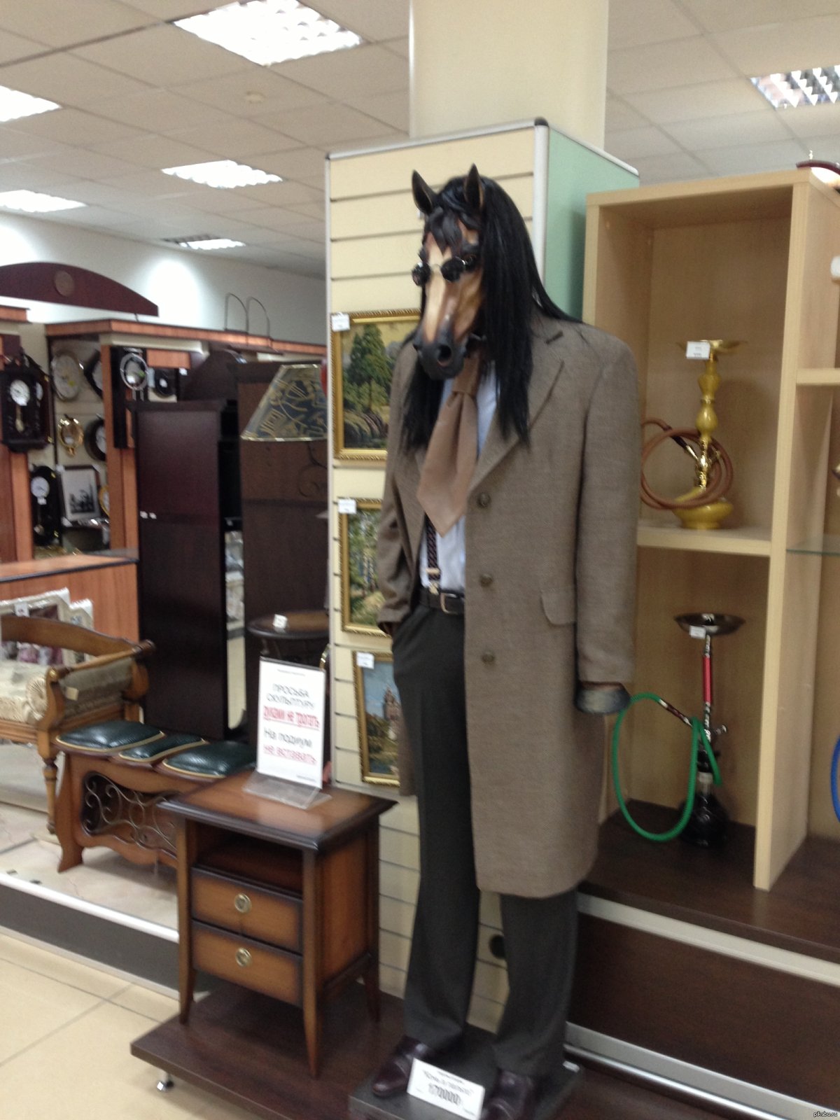 Конь в пальто