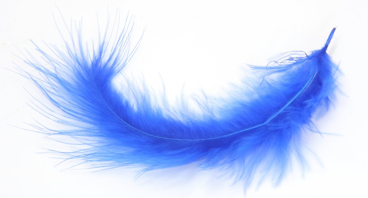 Синее перо на прозрачном фоне